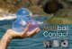 Manufacturer: Multiball Contact