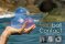 Multiball Contact