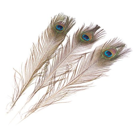 Peacock feathers for balancing (set with 12 pieces)