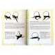 Book - Spread you Wings with Aerial Hoop by AerialHoop&Co.