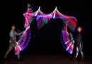 LED juggling clubs vision® by flowtoys smooth