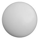 Renegade Balancing Globe - 60 cm Diameter - 12 kg white