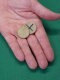 Magic Trick - Coin Deception
