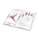 Figurenbuch – Strapaten 1