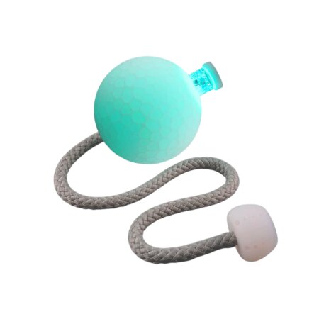 LED Poi – Coral Poi