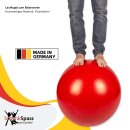 Laufkugel zum Balancieren SchenkSpass - 60 cm Ø - 10 kg blau