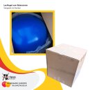 Laufkugel zum Balancieren SchenkSpass - 70 cm Ø - 17 kg