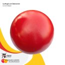 Laufkugel zum Balancieren SchenkSpass - 70 cm Ø - 17 kg blau