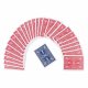 Magic Trick Accessories - Bicycle 808 Raider Back Red Card Game